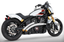 RADICAL RADIUS FOR INDIAN SCOUT - view 1