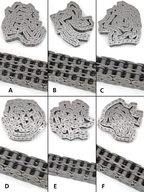 TWIN POWER PRIMARY CHAIN - view 2