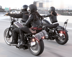 BURLY BRAND SISSY BAR FOR SPORTSTER & DYNA - view 3