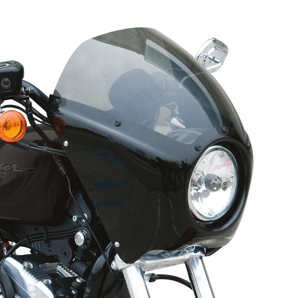 ARLEN NESS ORIGINAL FAIRING KITS - view 2