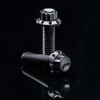 TRANSMISSION TOP COVER TITANIUM 12-POINT BOLT KITS - view 2