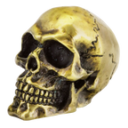 GENUINE ZODIAC SKULLS - view 1