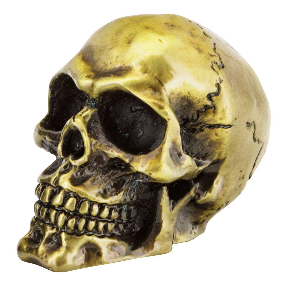 GENUINE ZODIAC SKULLS - view 1