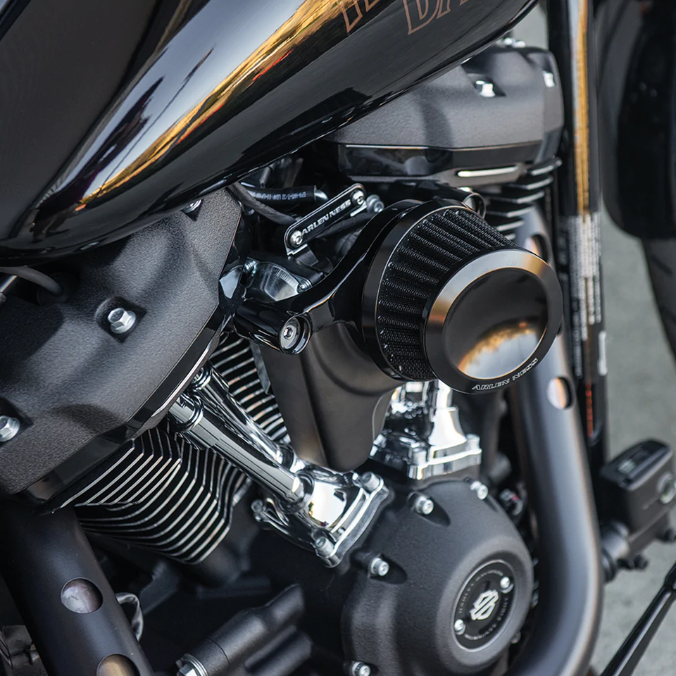 ARLEN NESS MINI 22 AIR CLEANERS Secondary image