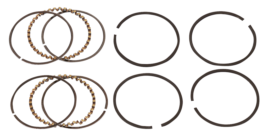 HASTINGS PISTON RING SETS - view 2
