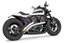 FREEDOM PERFORMANCE RADICAL RADIUS FOR RH SPORTSTER S - view 1