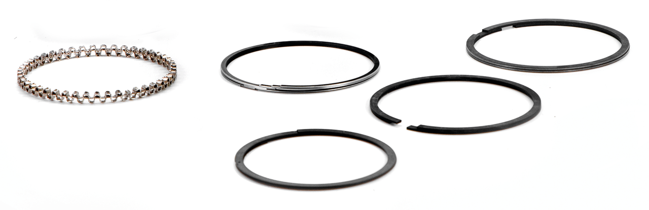 HASTINGS PISTON RING SETS - view 1