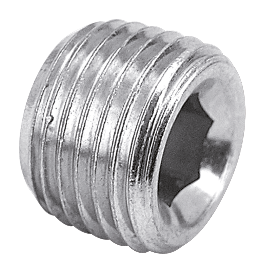 1/16", 1/8" & 1/4" NPT SOCKET HEAD PLUG - view 1 Main image