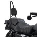 BOLT-ON TALL SISSY BARS WITH PAD - view 3
