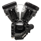 S&S T-SERIES LONG BLOCK ENGINES - view 1