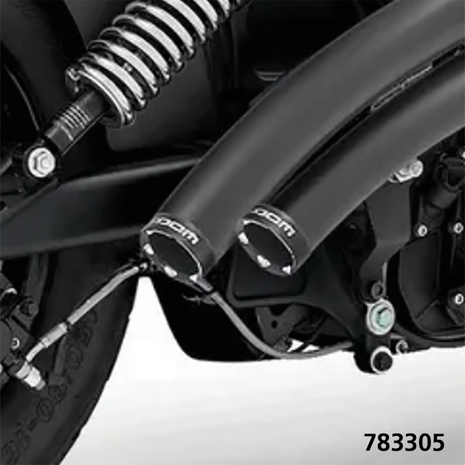 RADICAL RADIUS FOR INDIAN SCOUT - view 1 Main image