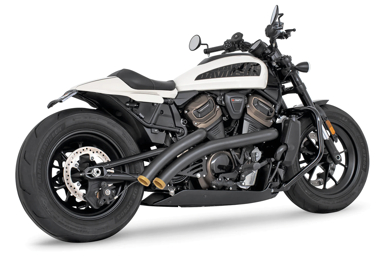 FREEDOM PERFORMANCE RADICAL RADIUS FOR RH SPORTSTER S - view 1 Main image