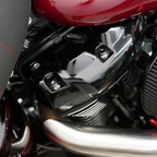 ROCKER BOX COVER TITANIUM 12-POINT BOLT KITS - view 2