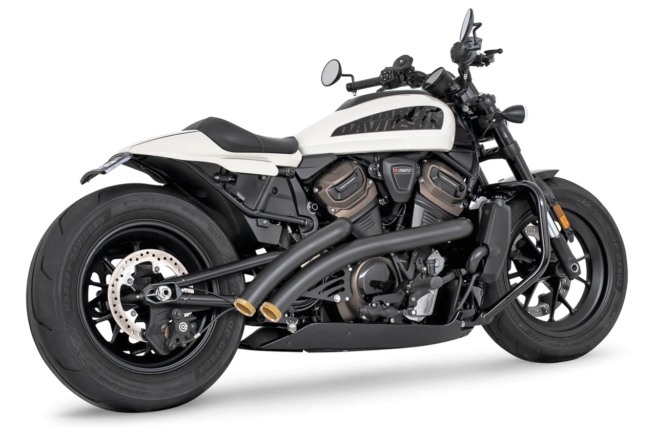 FREEDOM PERFORMANCE RADICAL RADIUS FOR RH SPORTSTER S - view 1