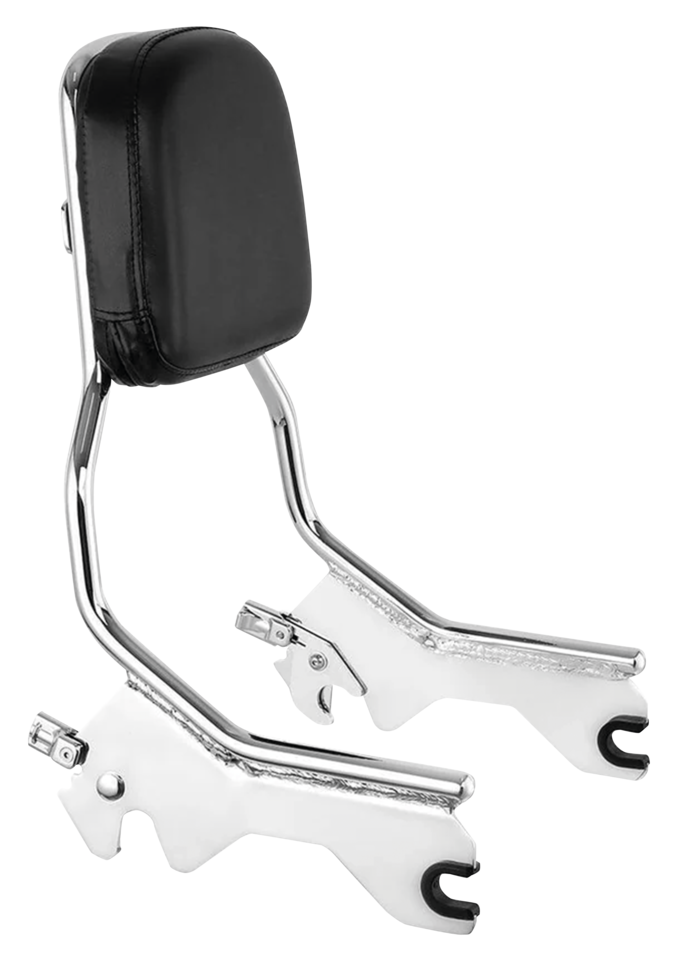 DETACHABLE ONE PIECE SISSY BAR FOR DELUXE, HERITAGE, SLIM, STREET BOB & STANDARD - view 1 Main image