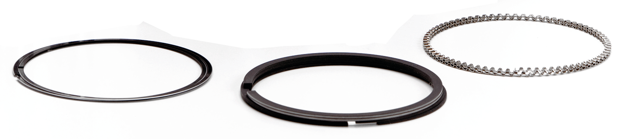 HASTINGS PISTON RING SETS - view 1 Main image