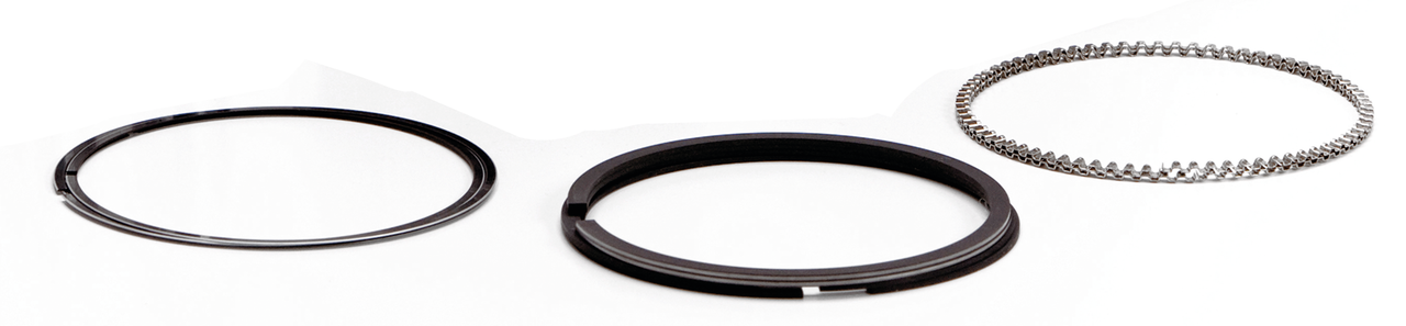 HASTINGS PISTON RING SETS - view 1