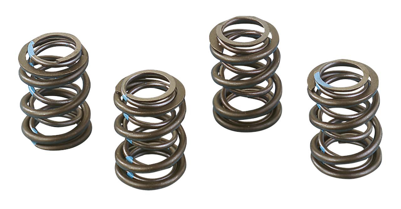 ANDREWS HIGH LIFT VALVE SPRINGS FOR SHOVELHEADS - view 1