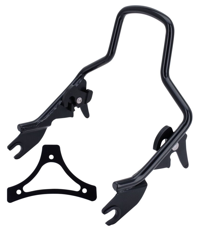 DETACHABLE SISSY BARS FOR TOURING - view 1 Main image