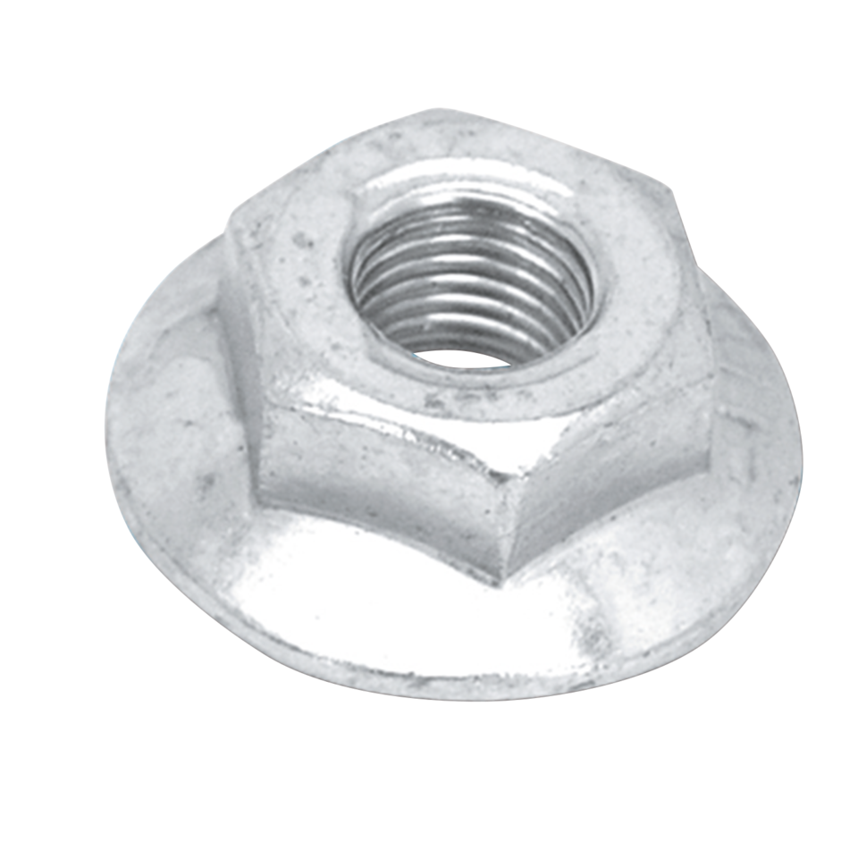 WELL NUTS - view 1 Main image