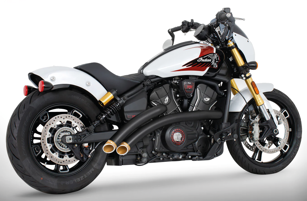 RADICAL RADIUS FOR INDIAN SCOUT - view 1 Main image