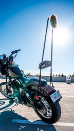 BURLY BRAND STUPID TALL SISSY BARS - view 2