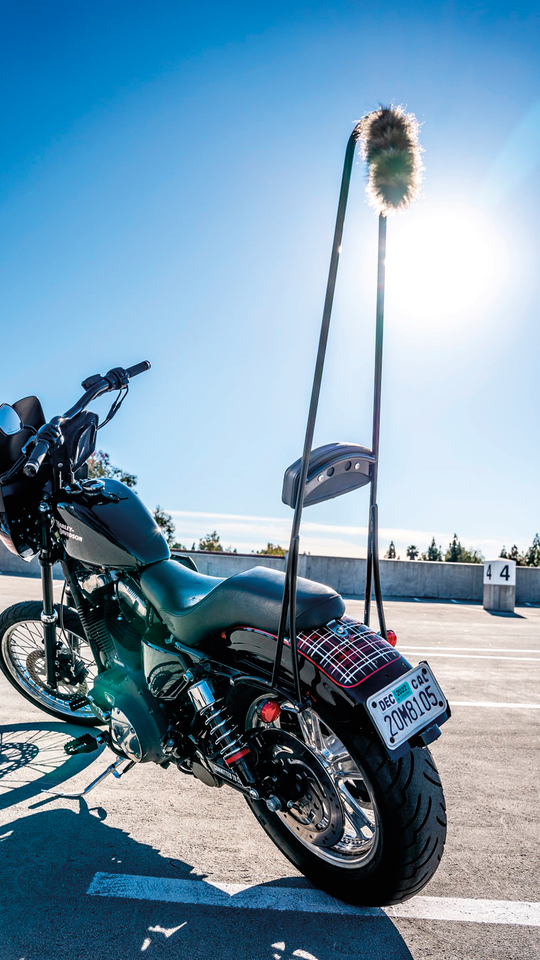 BURLY BRAND STUPID TALL SISSY BARS - view 2
