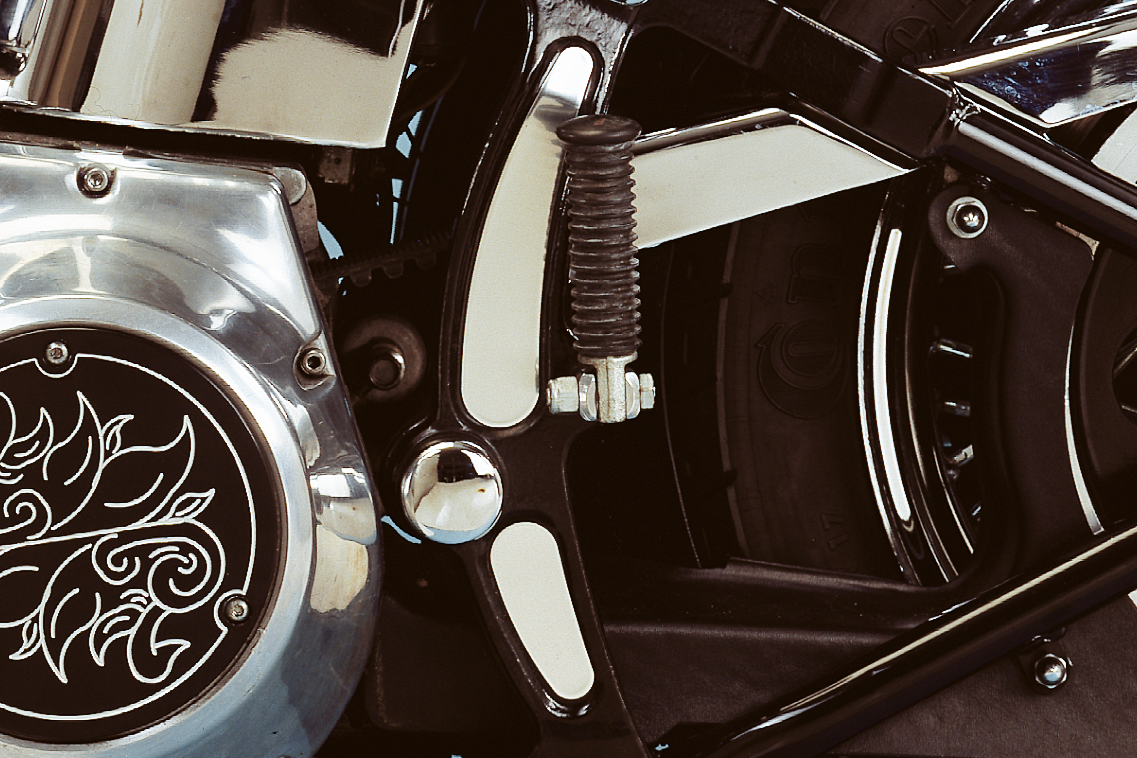 CHROME FRAME ACCENTS FOR SOFTAIL - view 1