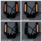 CVO-STYLE LIGHTED REAR FENDER FACIAS - view 2