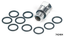 GASKETS, O-RINGS AND SEALS FOR 2004 TO PRESENT XL & XR SPORTSTER AND 2003-2010 BUELL - view 1