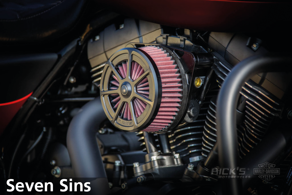 RICK'S GOOD GUYS DESIGN AIR CLEANERS - view 1