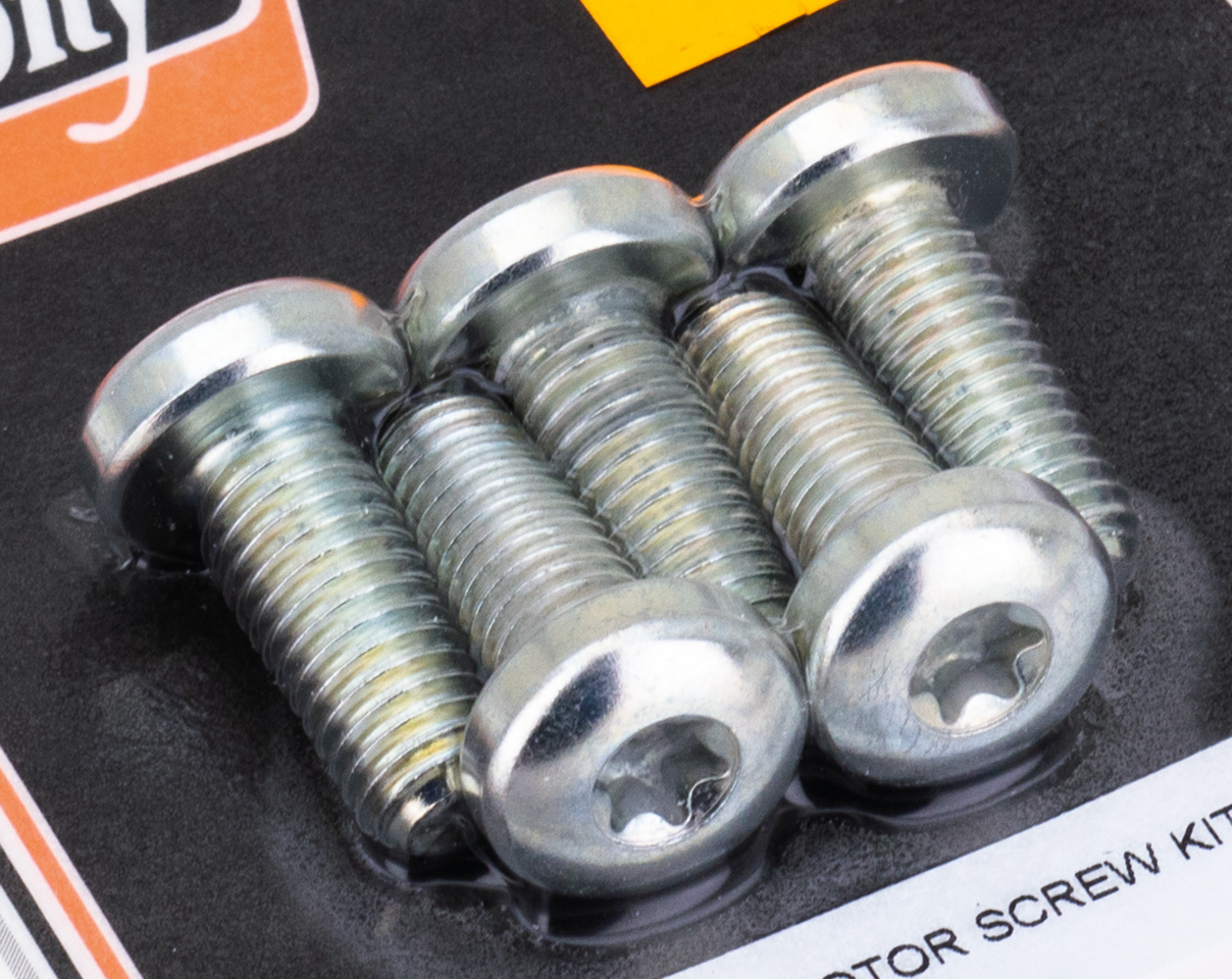 BRAKE ROTOR SCREWS & NUTS FOR 2015-2020 XG STREET - view 1 Main image