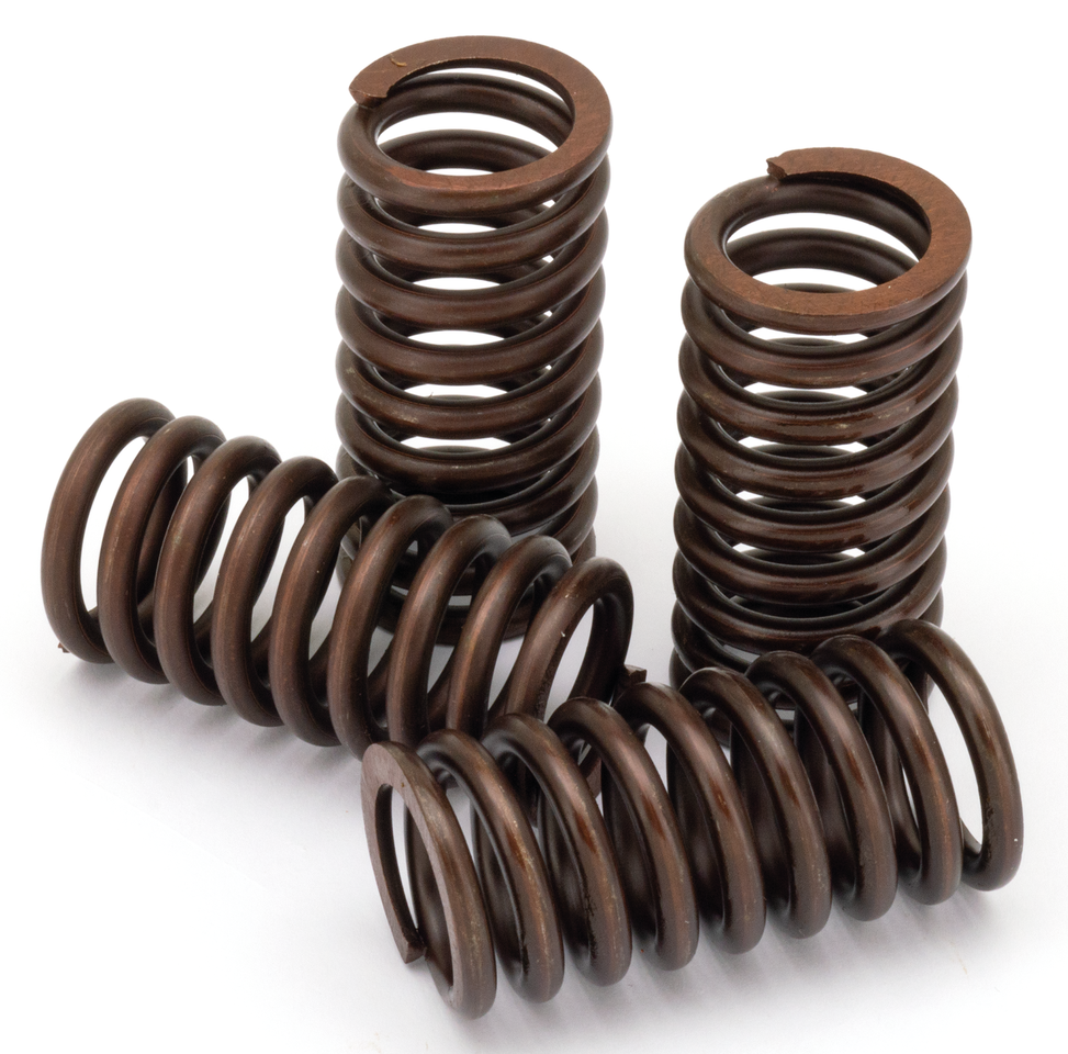 STOCK REPLACEMENT VALVE SPRING SETS - view 1