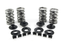 AV&V VALVE SPRING KITS - view 1