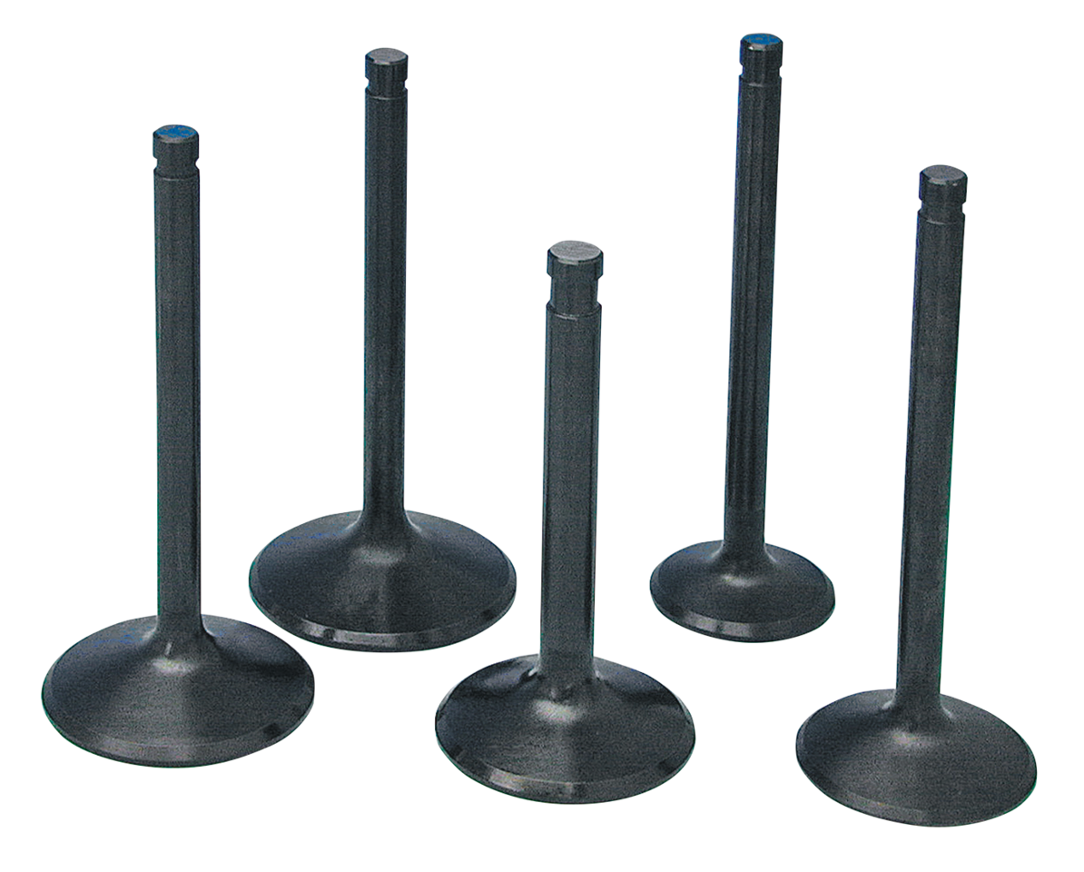 "BLACK DIAMOND" HIGH PERFORMANCE STAINLESS STEEL VALVES BY PRECISION MACHINING - view 1