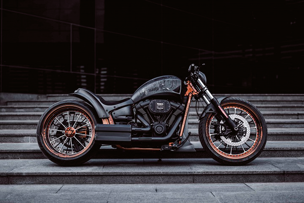 TOMMY & SONS SINNER KIT FOR MILWAUKEE EIGHT SOFTAIL - view 3