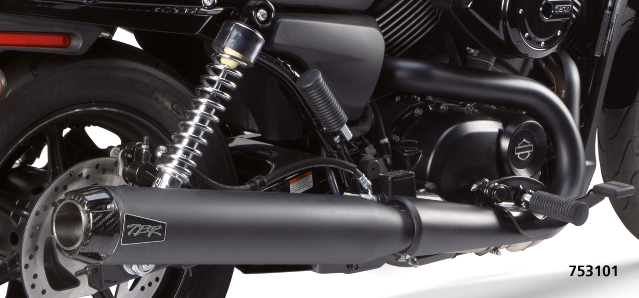 TWO BROTHERS RACING SLIP-ON MUFFLERS - view 1 Main image