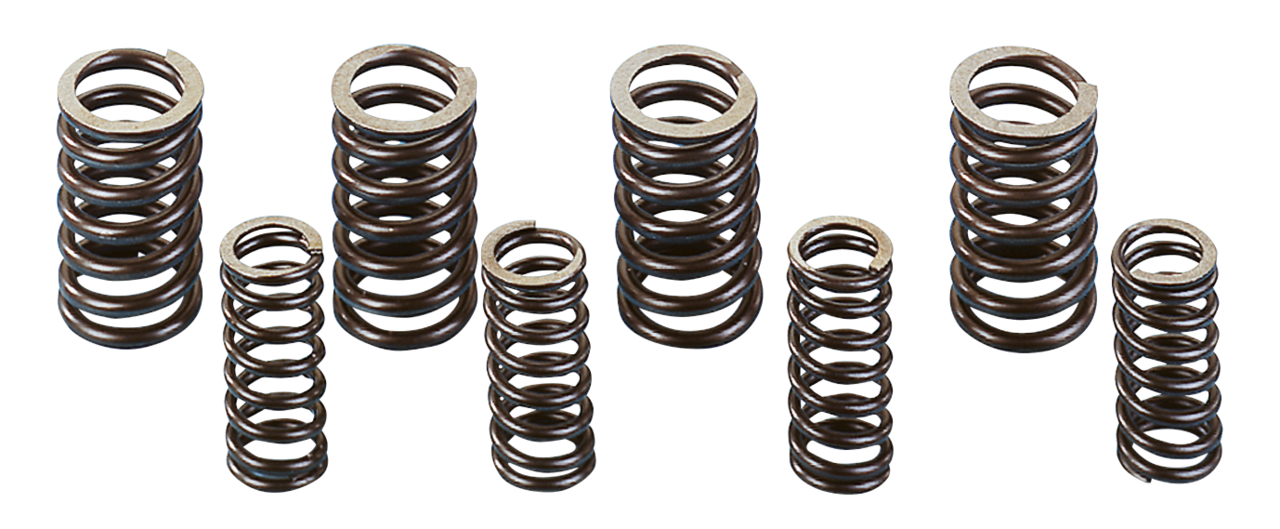 STOCK REPLACEMENT VALVE SPRING SETS - view 1 Main image