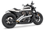 FREEDOM PERFORMANCE RADICAL RADIUS FOR RH SPORTSTER S - view 1