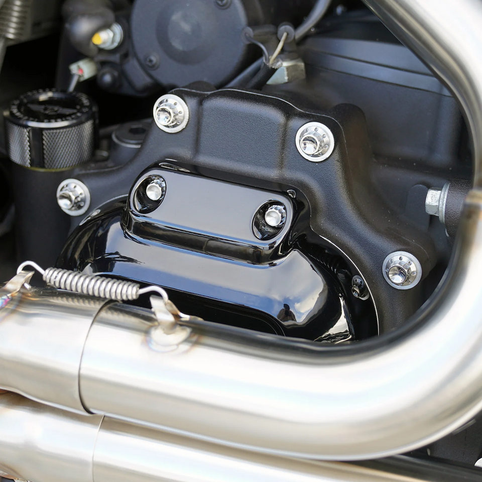 TRANSMISSION SIDE COVER & TRAP DOOR TITANIUM 12-POINT BOLT KITS - view 2