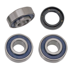 ALL BALLS WHEEL BEARING & SEAL KITS - view 2