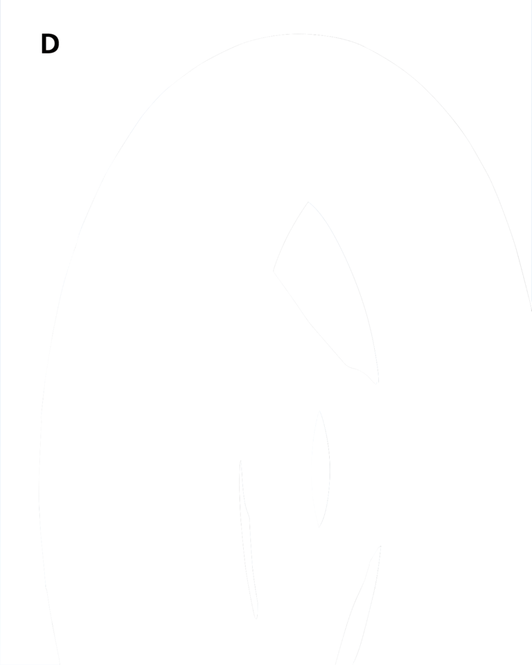 ROADRUNNER AM20 FRONT AND AM21 REAR TIRES Secondary image