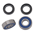 ALL BALLS WHEEL BEARING & SEAL KITS - view 1