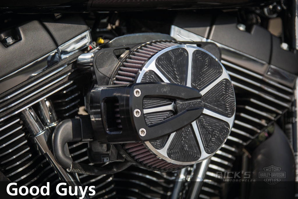 RICK'S GOOD GUYS DESIGN AIR CLEANERS - view 1 Main image