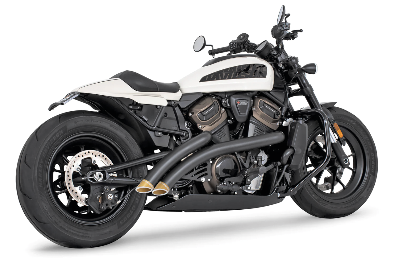 FREEDOM PERFORMANCE RADICAL RADIUS FOR RH SPORTSTER S - view 1 Main image