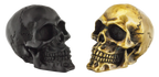 GENUINE ZODIAC SKULLS - view 2